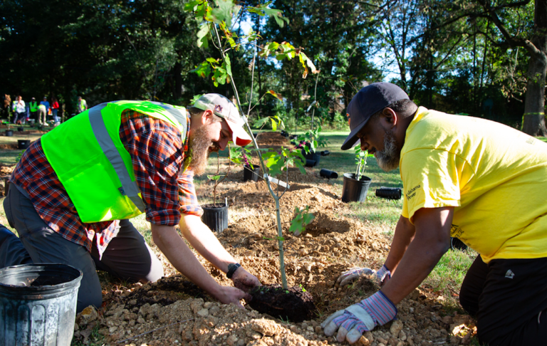 Reforesting and restoring East Lake Park, Birmingham’s original Railroad Park Reforesting and restoring East Lake Park, Birmingham’s original Railroad Park
