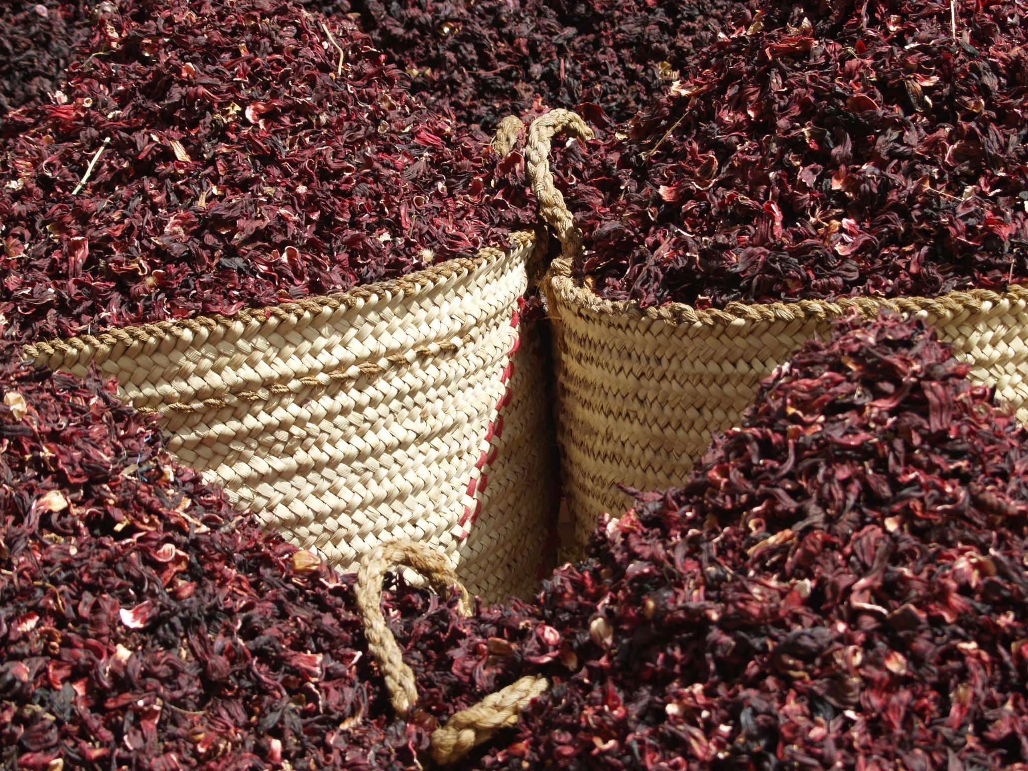 LeNell Comacho Santa Ana's favorite bonfire fare is hot hibiscus. Dried hibiscus flowers in a market. 