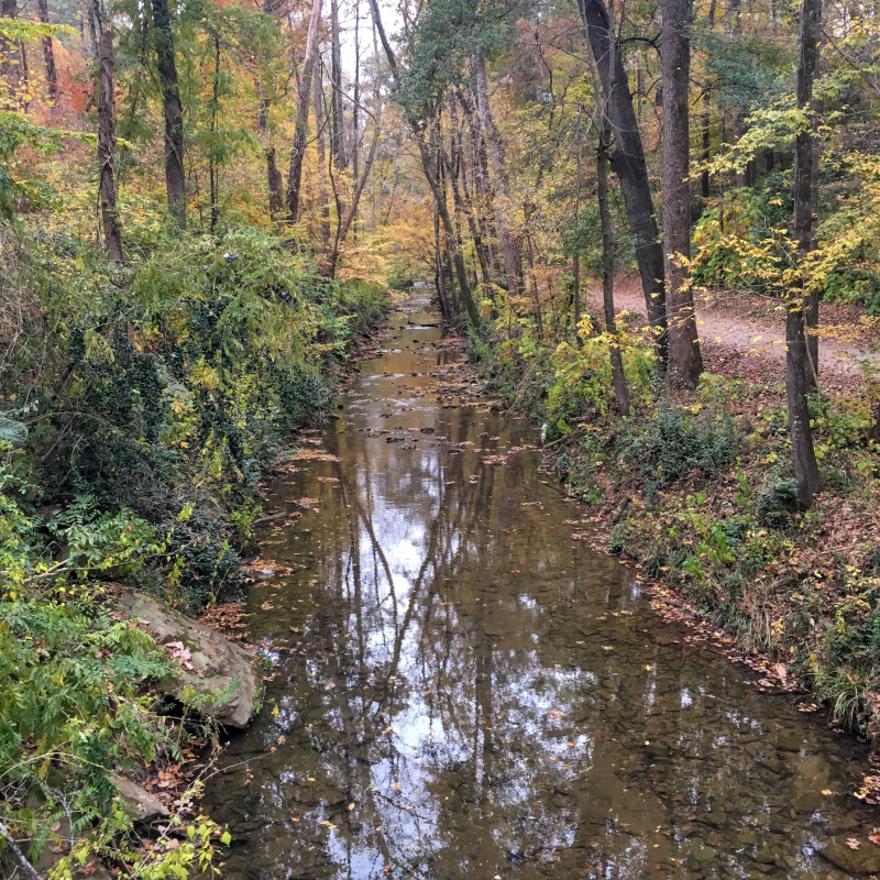 What's open on Christmas Day in Birmingham? Many local parks, including the Jemison Trail in Mountain Brook
