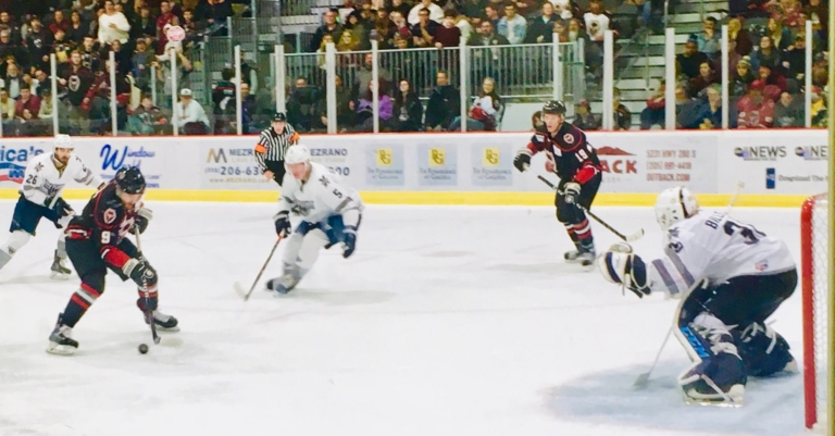 Hockey Night in Alabama: Birmingham Bulls drawing big crowds