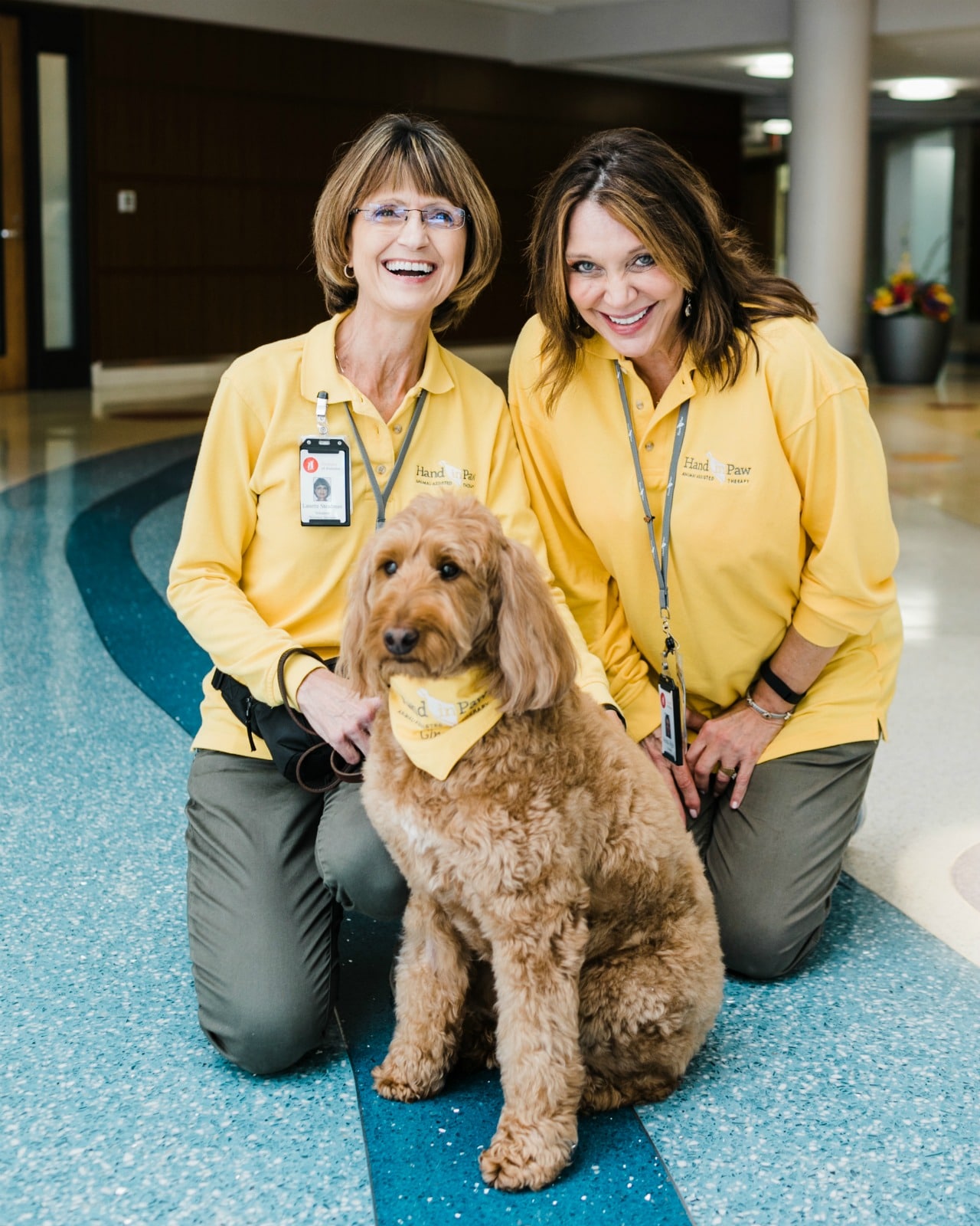 Hand in Paw plans to grow their Animal-Assisted Therapy Team family with a new training program