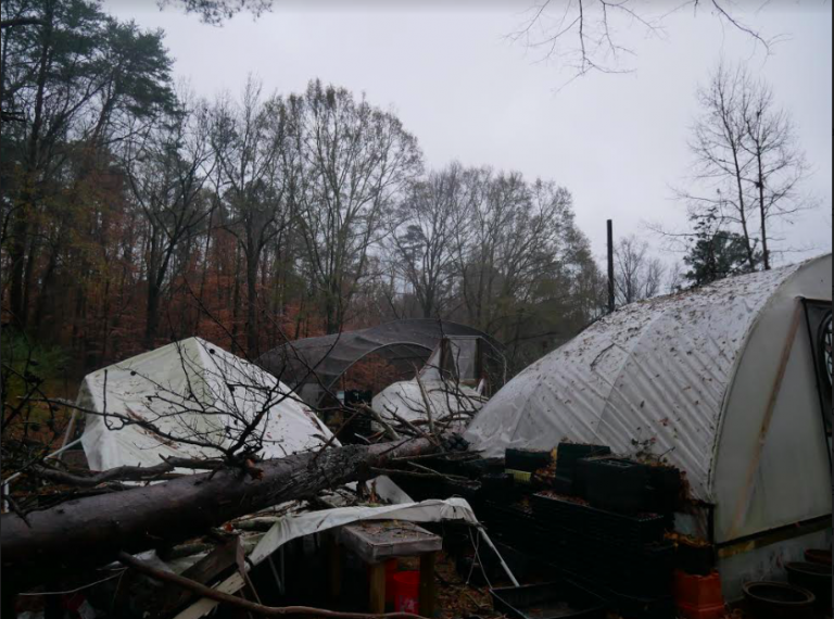 Storm destroys Turkey Creek Nature Preserve greenhouse. Learn how you can help bring it back Storm destroys Turkey Creek Nature Preserve greenhouse. Learn how you can help bring it back