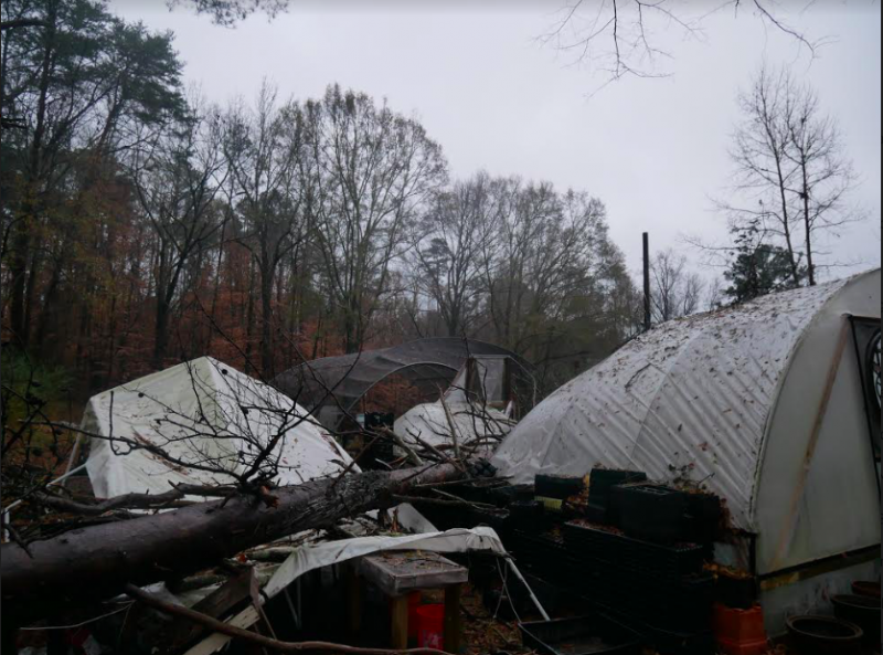 Screen Shot 2018 12 10 at 8.03.20 AM Storm destroys Turkey Creek Nature Preserve greenhouse. Learn how you can help bring it back