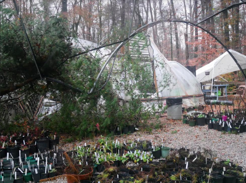 Screen Shot 2018 12 10 at 8.03.36 AM Storm destroys Turkey Creek Nature Preserve greenhouse. Learn how you can help bring it back