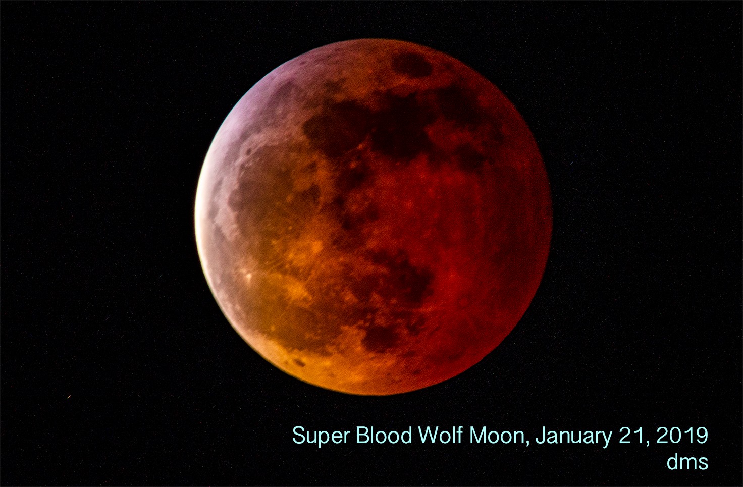 50554466 10216189785912179 6367590870916530176 o It was a ‘Super Blood Wolf Moon’ takeover in Birmingham last night - see the photos