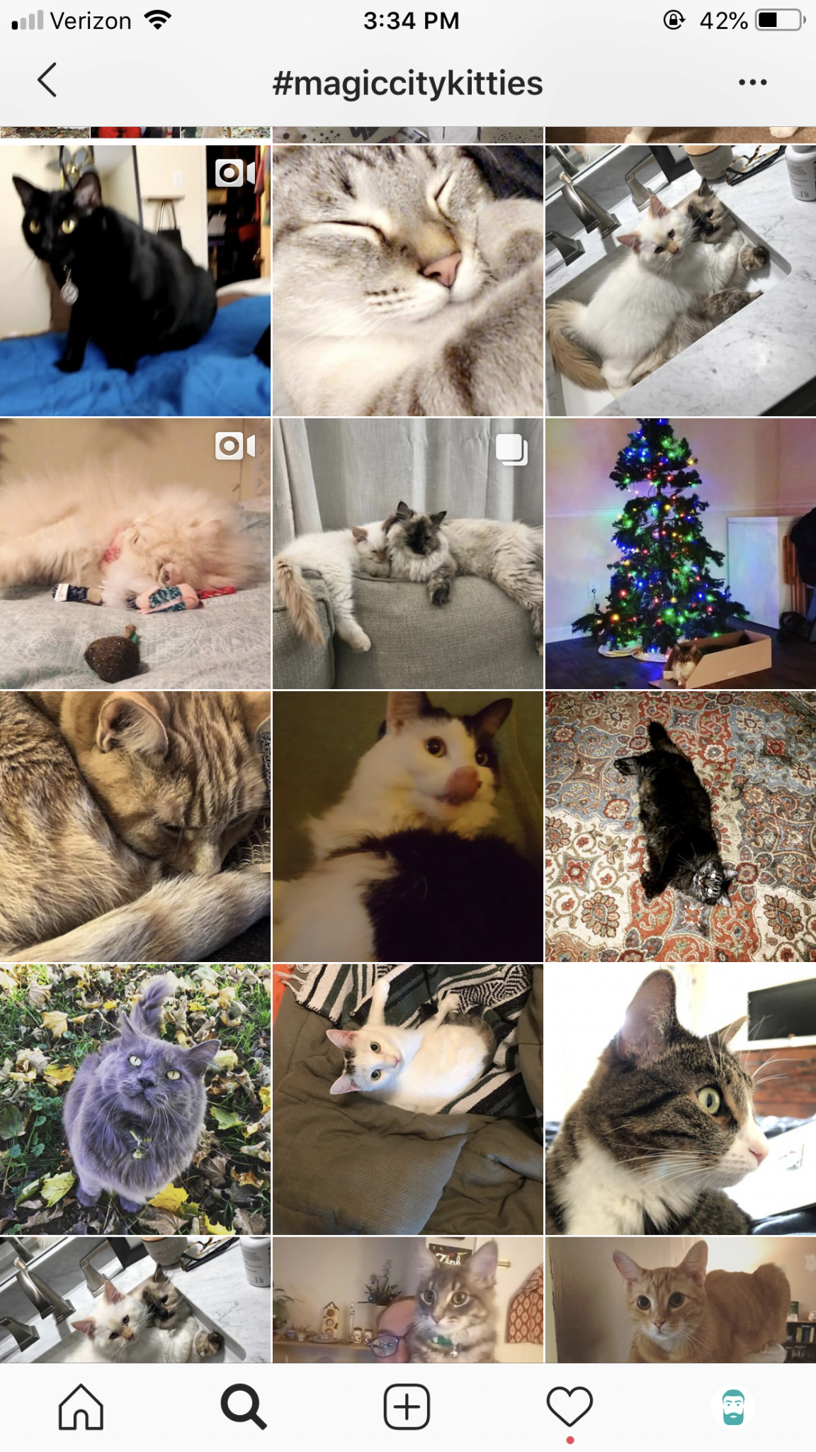 Discover the top 10 Birmingham Instagram hashtags and how to get the perfect shot 9 IMG 7379 Discover the top 10 Birmingham Instagram hashtags and how to get the perfect shot