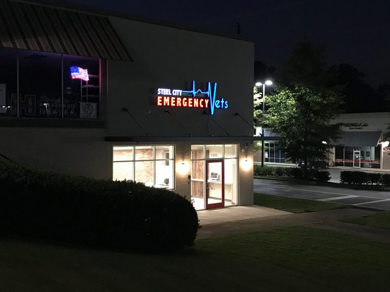 3 emergency vet clinics in Birmingham metro, following closure of Acton