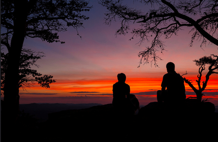 Did you know that Alabama has the smallest percentage of public land in the South? Why it matters. Did you know that Alabama has the smallest percentage of public land in the South? Why it matters.