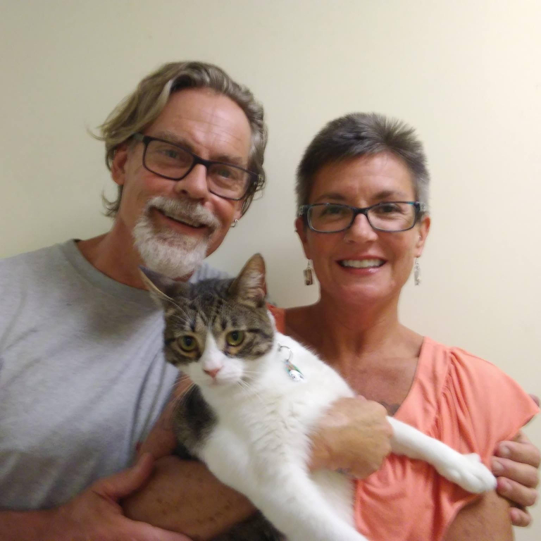 Gatos and Beans, Alabama’s first cat café, is coming to Birmingham