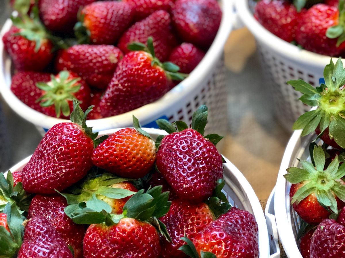 FREE small business workshops begin April 2, strawberries and more at the Market at Pepper Place 5 67a01daa 7b9f 48b5 866f f6c72de305d2 FREE small business workshops begin April 2, strawberries and more at the Market at Pepper Place
