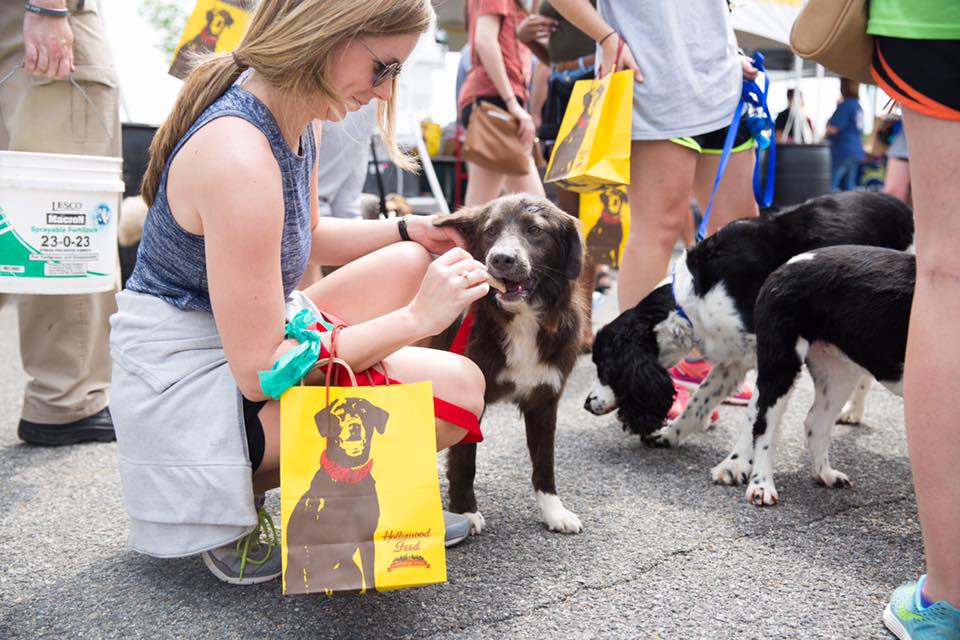 Fido Fest in Birmingham. Photo via The Summit Birmingham 2 7 pet-loving events in Birmingham, including Croonin' For Critters on March 21