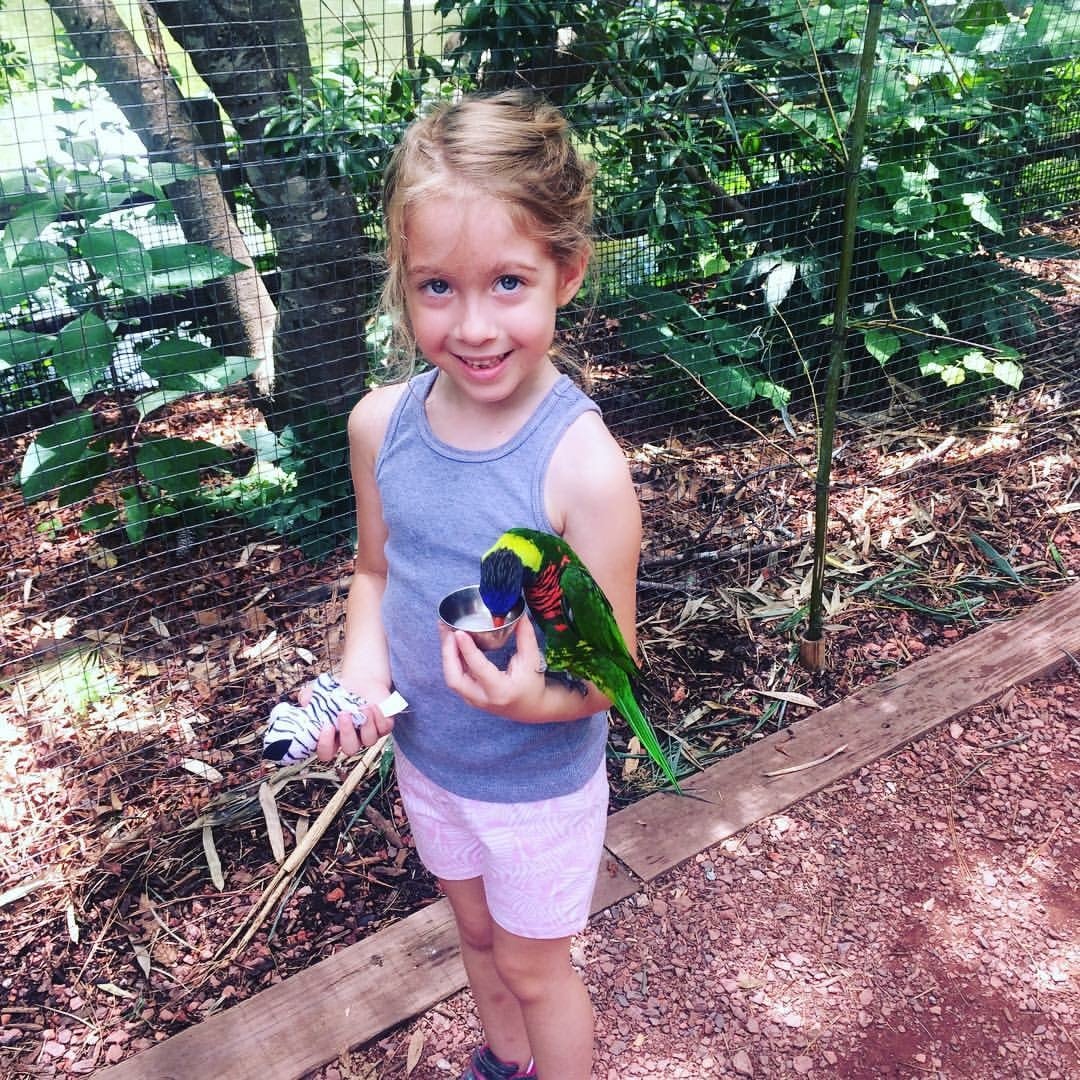 7 kid-friendly spring break activities in Birmingham, including Go Fly a Kite Day 3 Birmingham, Birmingham Zoo, kids, animals, spring break