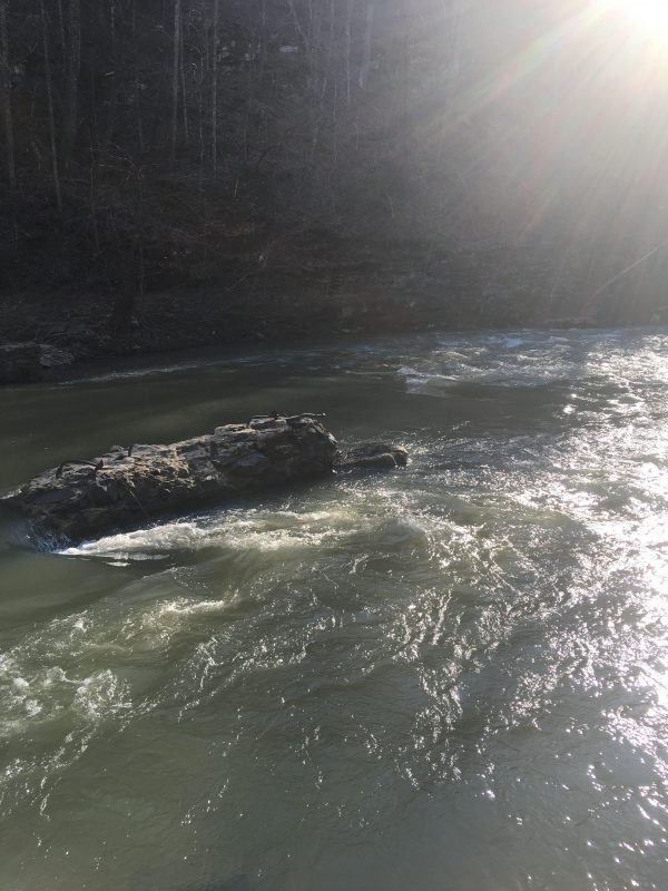 Parts of the Cahaba River are in the Cahaba community.