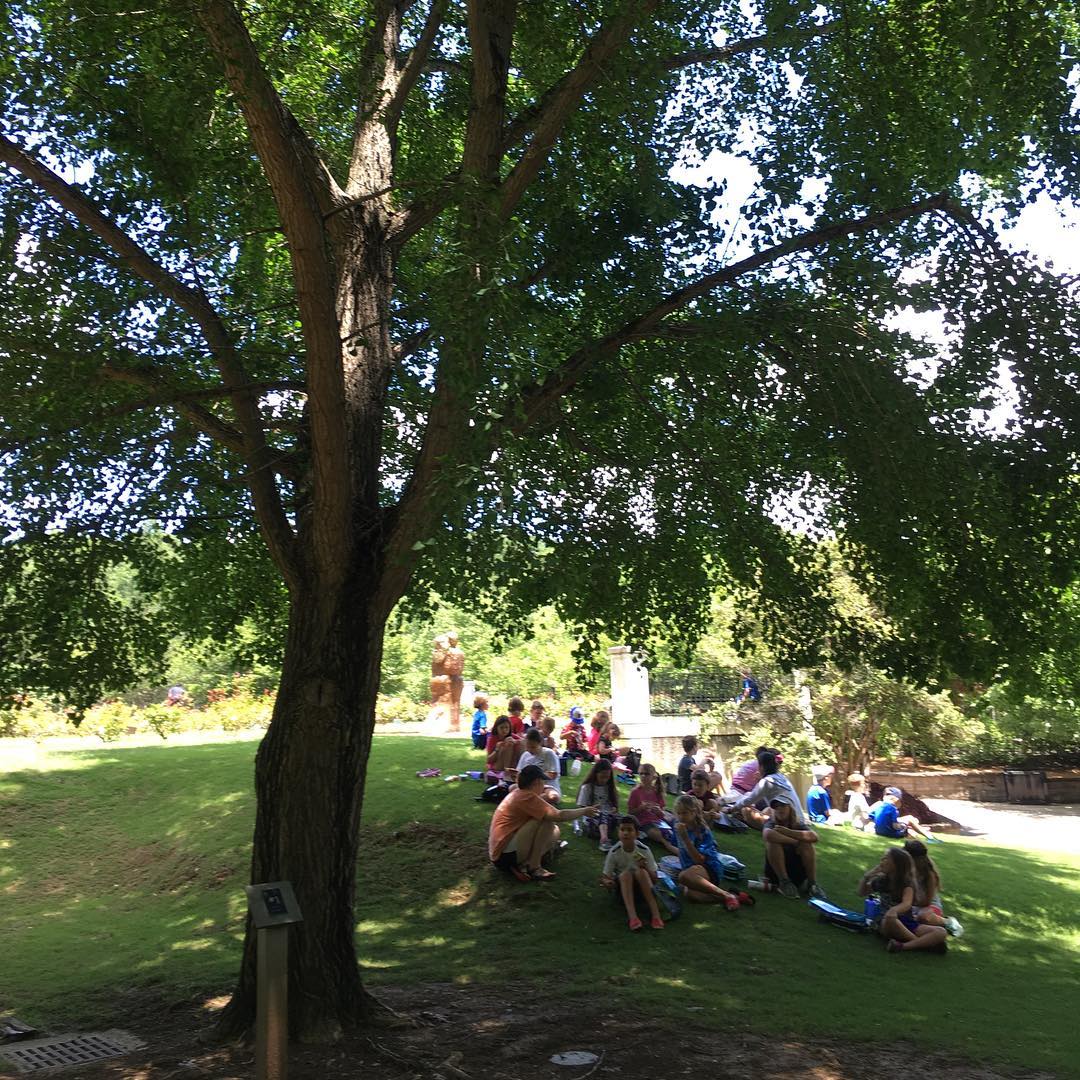 A group of people sit under a ginkgo tree at Brimingham Botanical Gardens in Alabama.