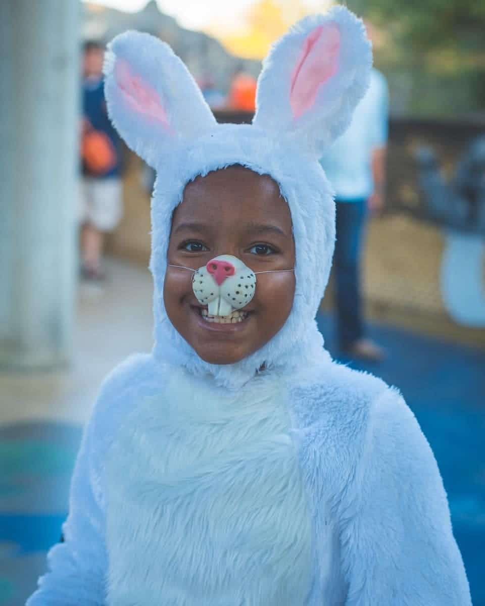 44255323 10156840167444680 8633746024378138624 o 10 Easter egg hunts in Birmingham, including a 25,000-count egg hunt at Oak Mountain State Park. Plus where to find the Easter Bunny.