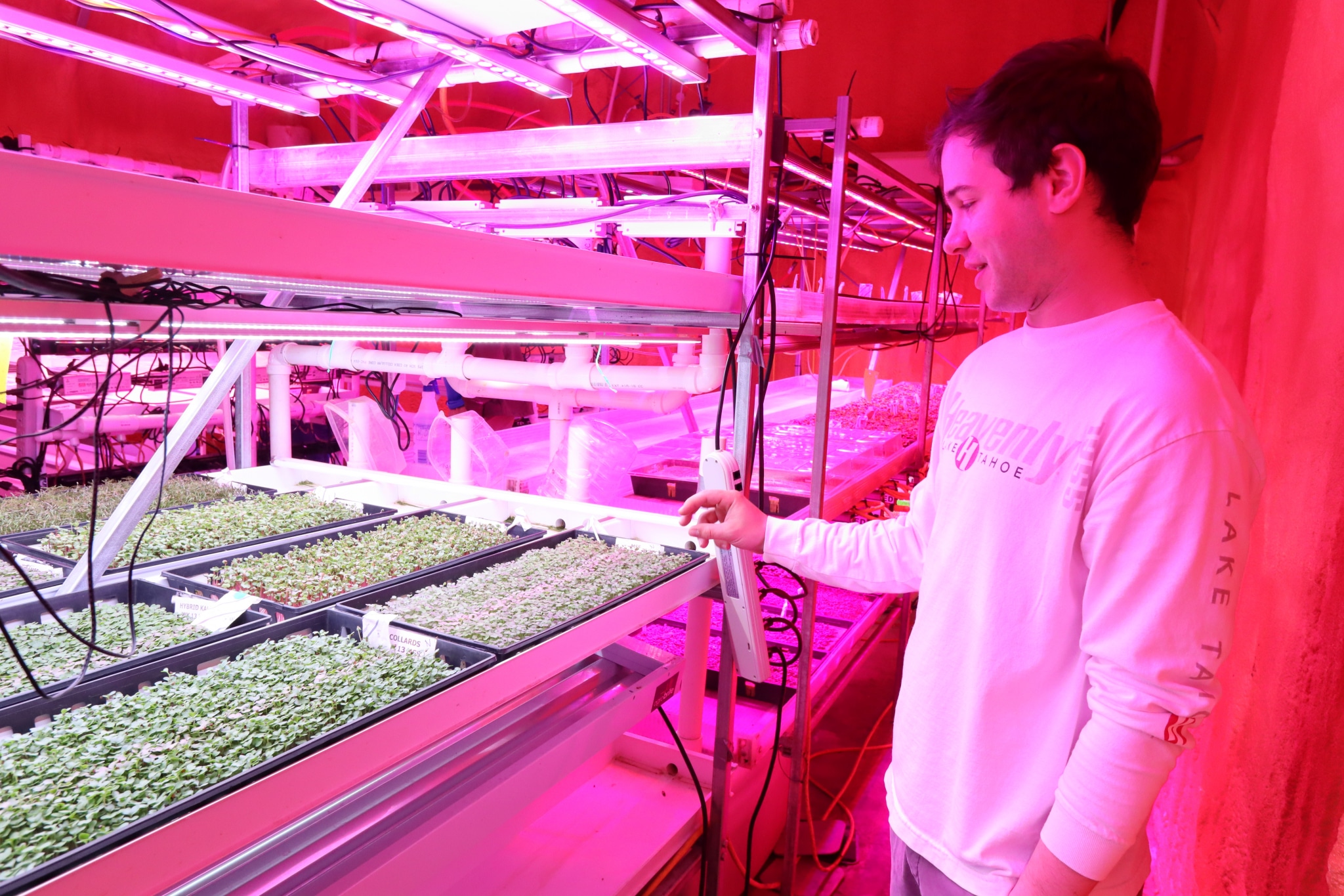 TekLinks’ founder Stuart Raburn gets back to entrepreneurial roots with latest Southern Organics aquaponic farm (photos) 3 Pictured are rows of micro-greens in incubators, illuminated by multi-colored grow lights that turn the entire room a fluorescent pink. Raburn’s son, Kyle, head of marketing for the operation (pictured), explains the growth process of the microgreens. They currently sell the microgreens to local fine-dining restaurants. (Photo by Christine Hull for Bham Now)