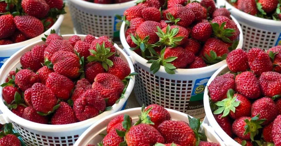 Strawberries at Market at Pepper Place 2019 in Birmingham, Alabama.