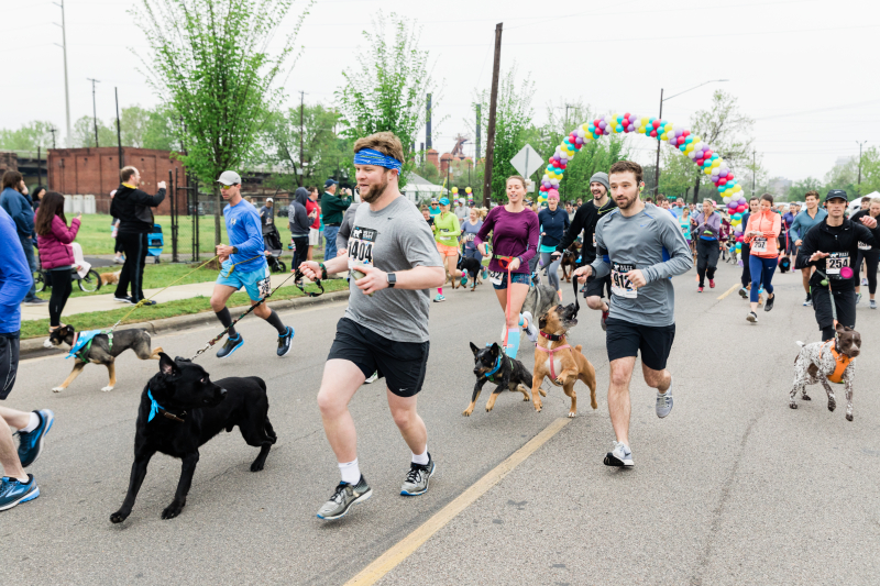 Mutt Strut is April 20 at UAB's Campus Green from 8-12. 