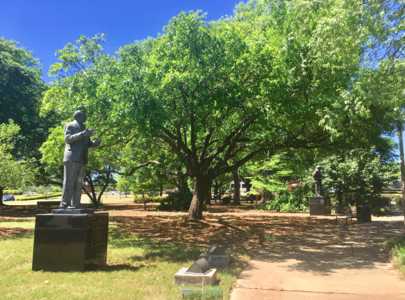 UAB is planting an environmentally conscious future. Learn how the campus’s more than 4,000 trees are improving Birmingham 4 Screen Shot 2019 04 22 at 4.42.46 PM UAB is planting an environmentally conscious future. Learn how the campus’s more than 4,000 trees are improving Birmingham