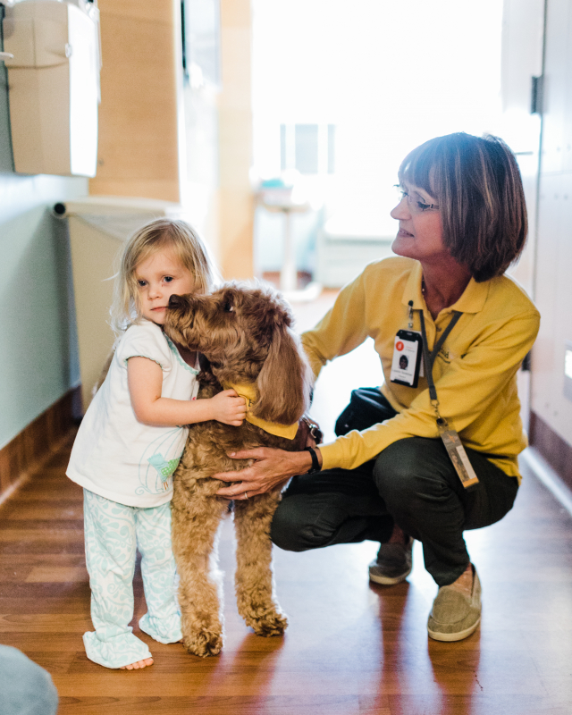 Animal-assisted therapy teams provide comfort and joy across Central Alabma through Hand in Paw.