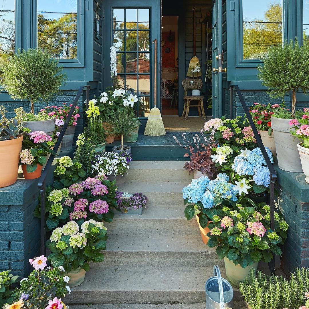 Shoppe, Flowers, Backyard