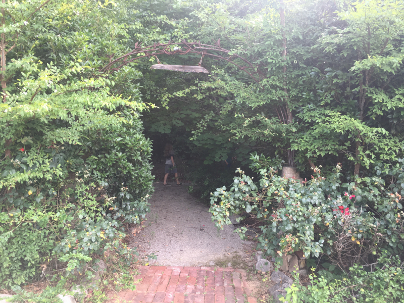 A gravel path leads through this lush archway to Birmingham Eastside EcoGardens, one of several community gardens in Birmingham. 