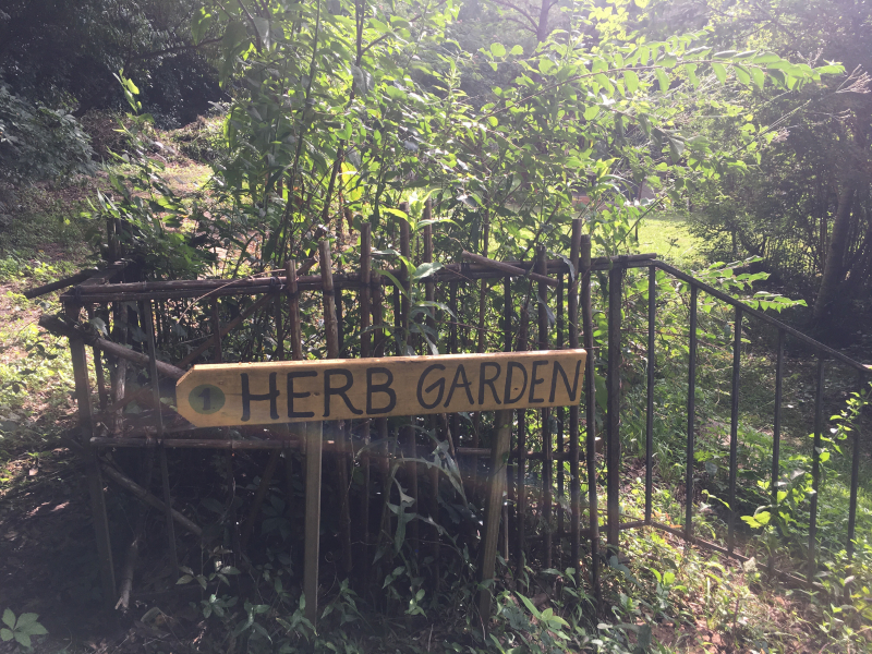 BEE has an herb garden on a hill, too!