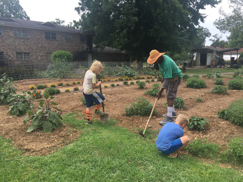 10 community gardens in Birmingham bring fruit, veggies, pollinators and joy (PHOTOS) 17 Myron Pierre shows volunteers how to weed at WE Garden.