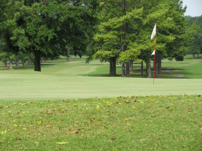 A green at Roebuck Municipal Golf Course, AL.
