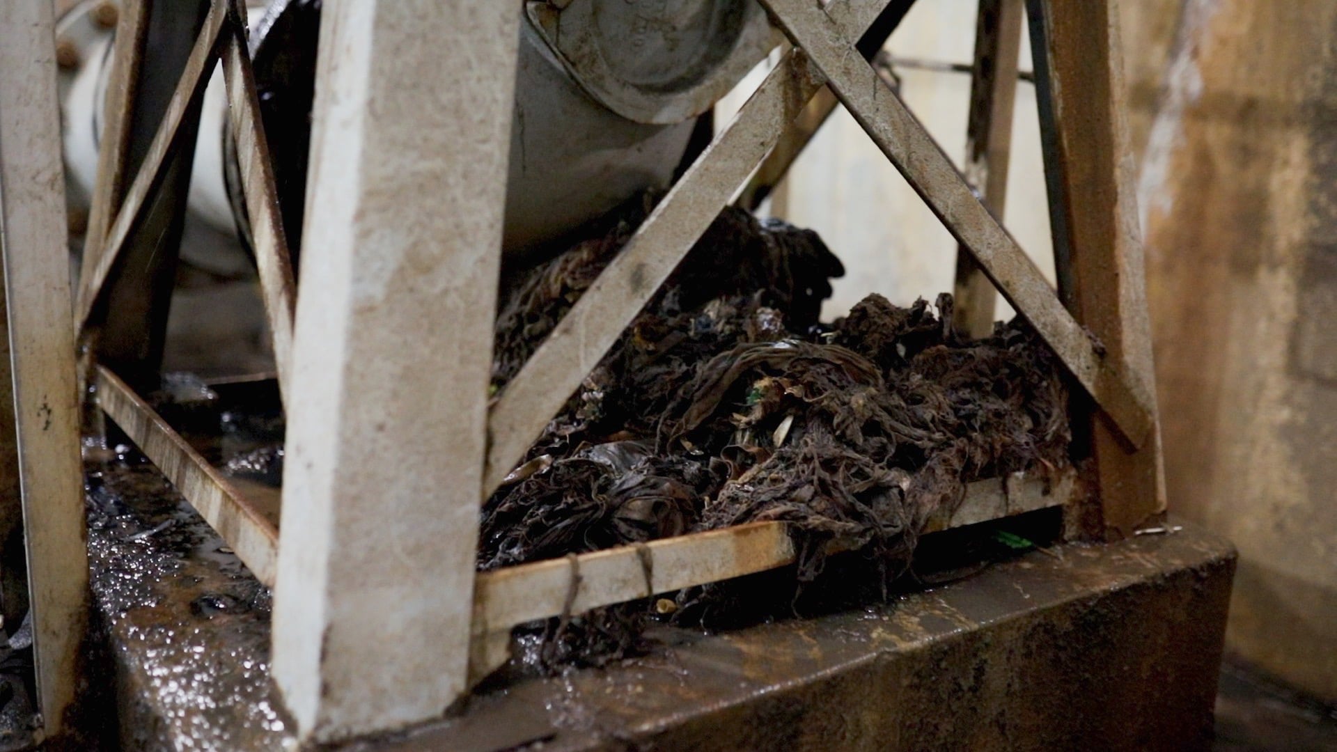 Can’t flush this: the hidden culprit that’s clogging pipes + could cost you a fortune Can’t flush this: the hidden culprit that’s clogging pipes + could cost you a fortune