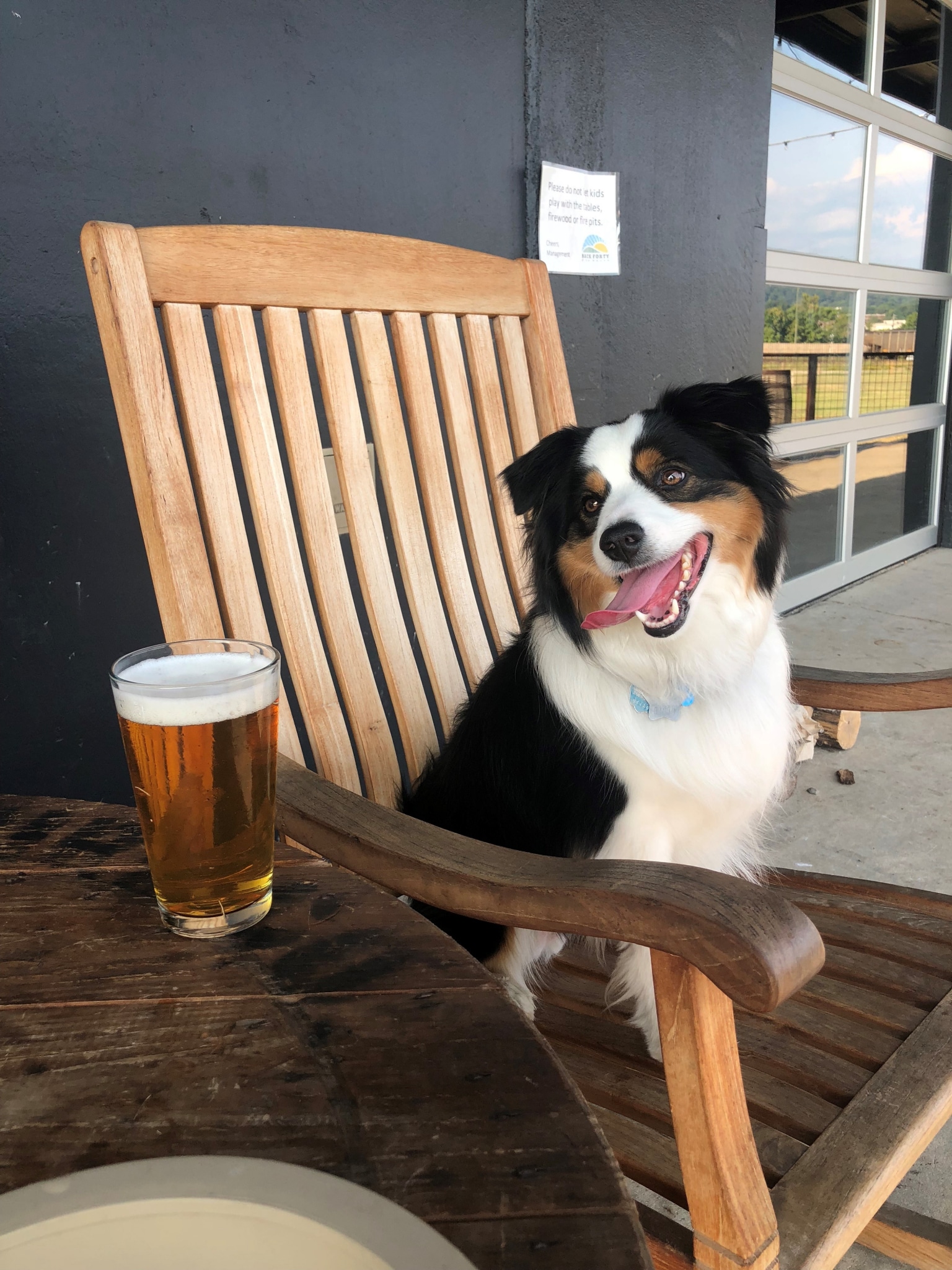 Coopers Back Forty Dinner with the dogs: 15 spots with outdoor dining in Birmingham [CUTE DOG PHOTOS]