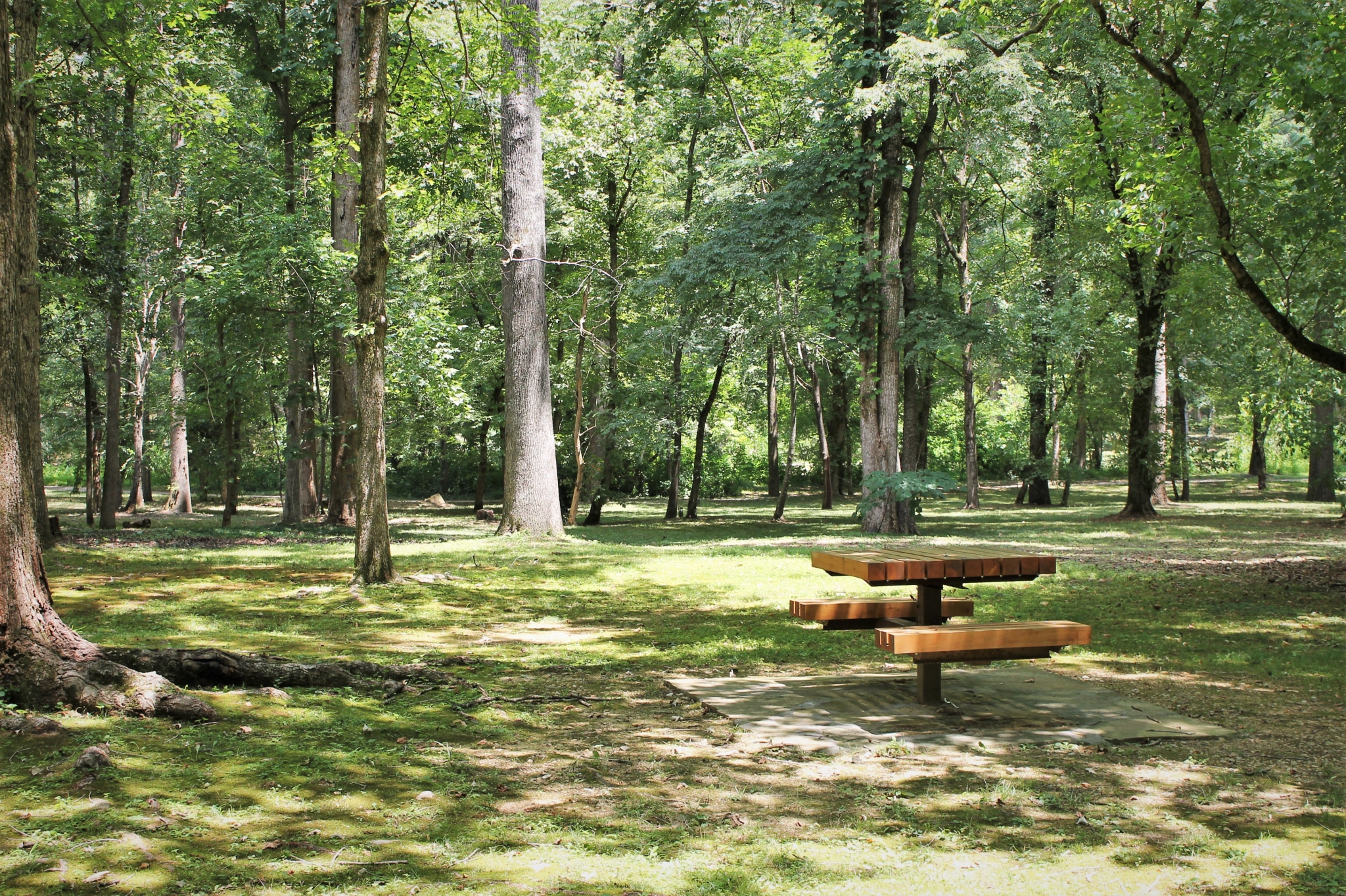 Beat the heat in these 5 shaded parks in Birmingham