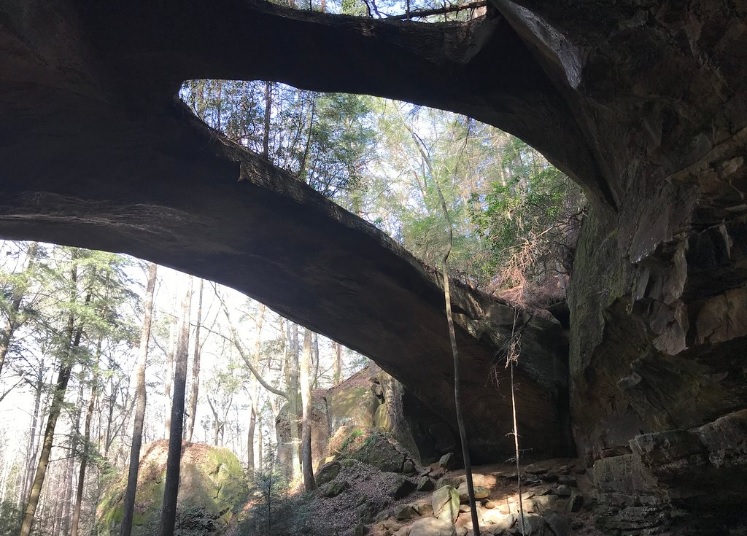 Road trip alert! The Natural Bridge of Alabama in Winston County - just 75 minutes from Birmingham 4 Natural Bridge of Alabama