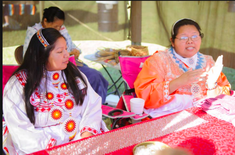 Screen Shot 2019 08 20 at 4.34.35 AM What did Alabama’s landscapes look like in 1819? Hint: think Kansas with prairies and bamboo.