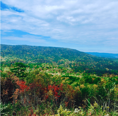 Screen Shot 2019 08 20 at 4.41.59 AM e1566466337109 What did Alabama’s landscapes look like in 1819? Hint: think Kansas with prairies and bamboo.