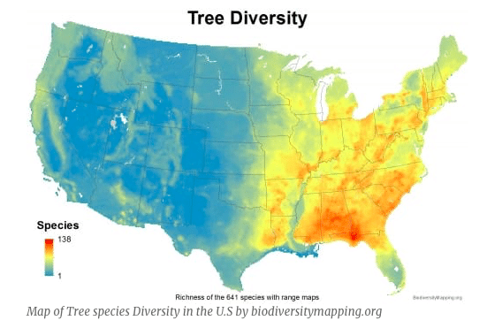 Screen Shot 2019 08 20 at 4.47.52 AM What did Alabama’s landscapes look like in 1819? Hint: think Kansas with prairies and bamboo.