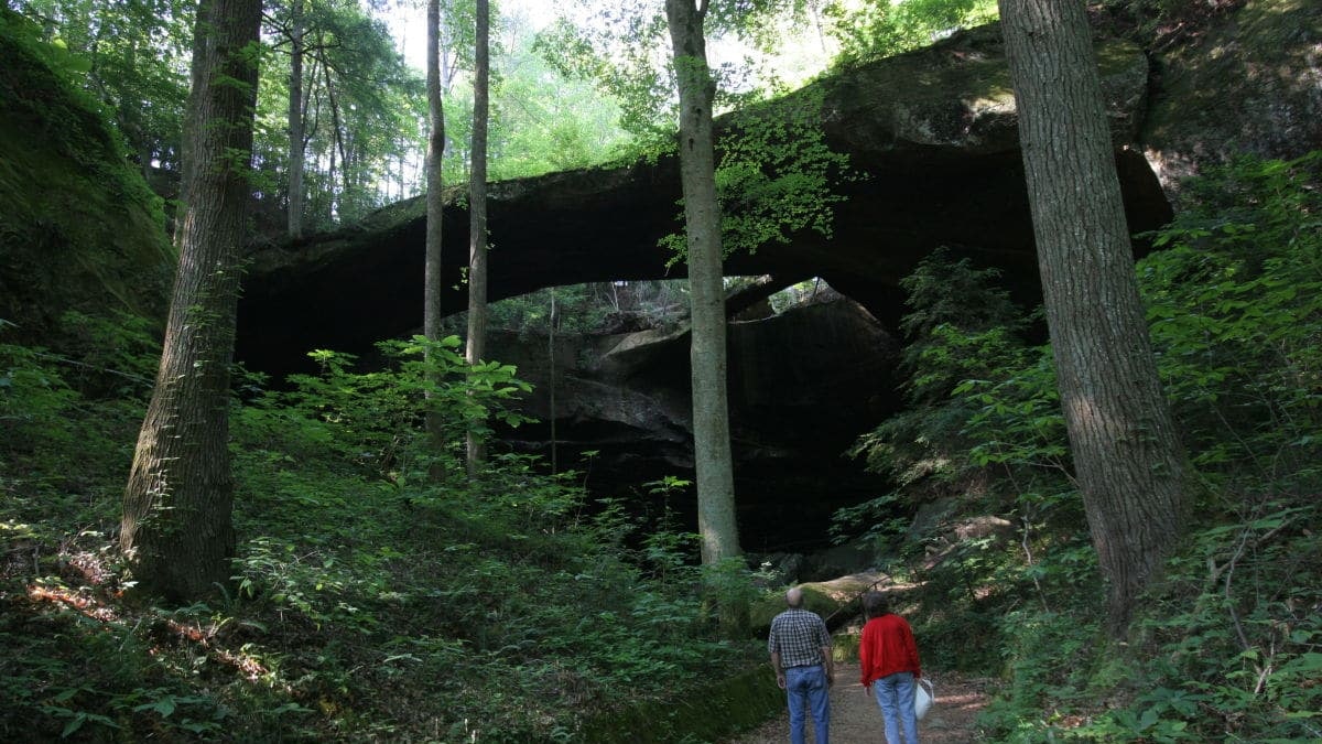 Road Trip Alert The Natural Bridge Of Alabama In Winston County Just   Cropped Natural Bridge 1 Via North Alabama Org 