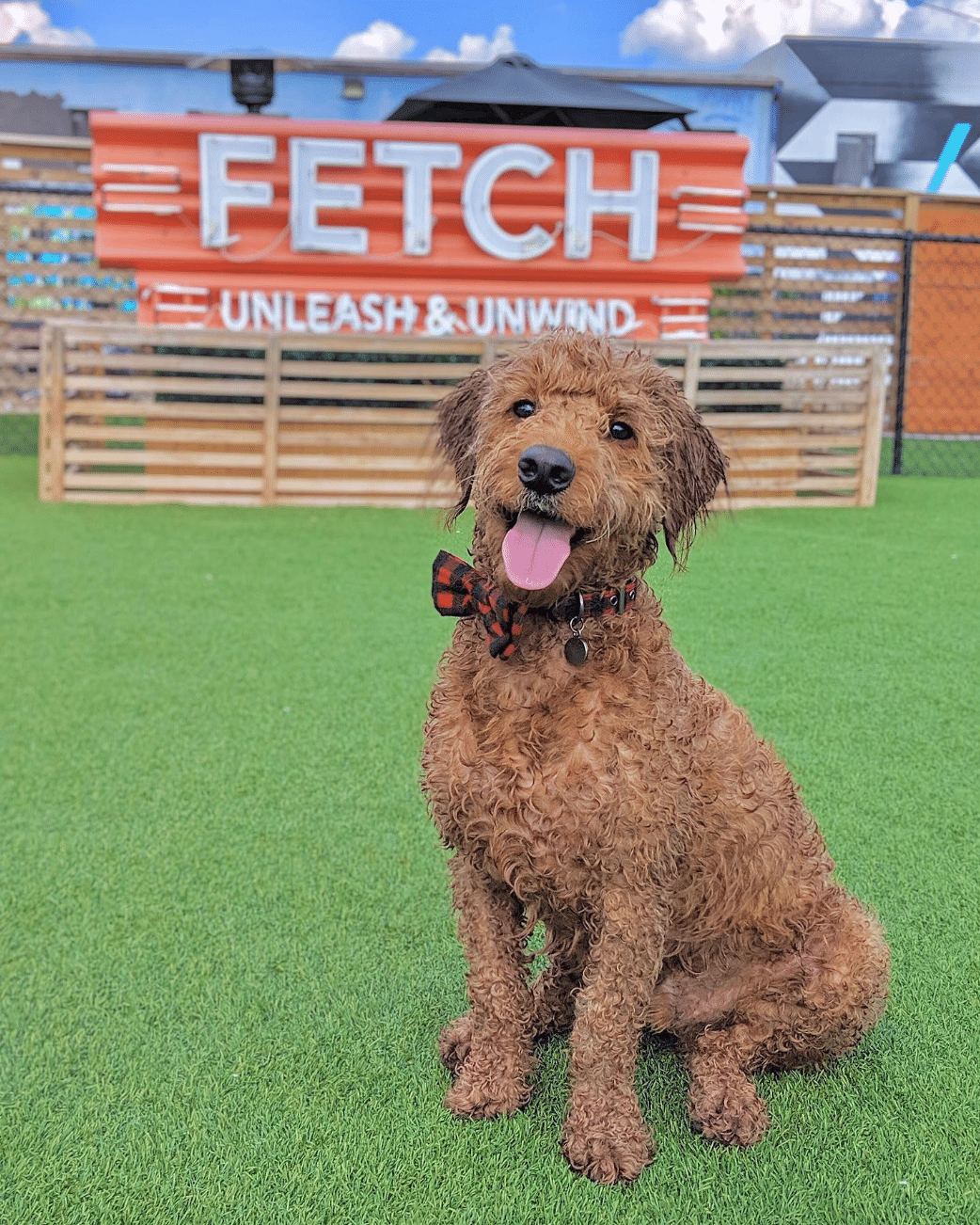 Screen Shot 2019 09 10 at 1.47.29 PM Pup Park? Brew Bar? Both. Fetch is coming to Birmingham!