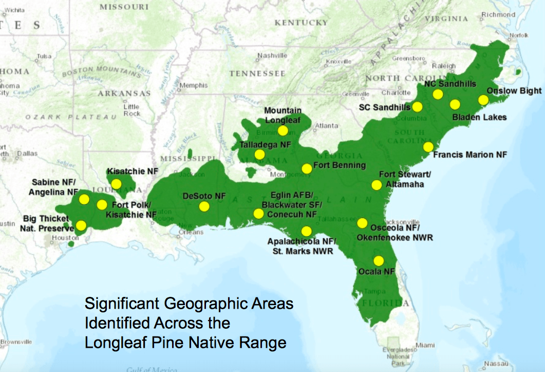 What will Alabama look like in 2119? With proper planning it can be a stunning oasis for people, business and wildlife. 7 Screen Shot 2019 09 17 at 6.33.24 PM What will Alabama look like in 2119? With proper planning it can be a stunning oasis for people, business and wildlife.