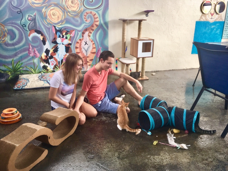 Birmingham ranks 9th most pet-friendly city in U.S.