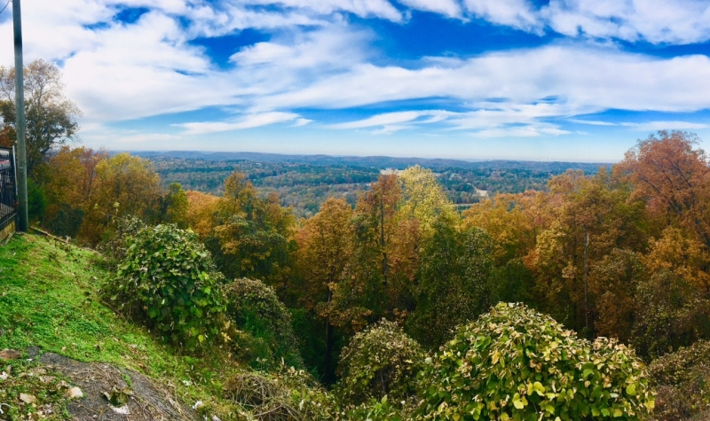 4 fall drives bursting with color near Birmingham, including a “secret tunnel” in Trussville 5 Birmingham, Driver's Way, fall drives, fall season, leaves, Hoover, Bluff Park, Tip Top Grill