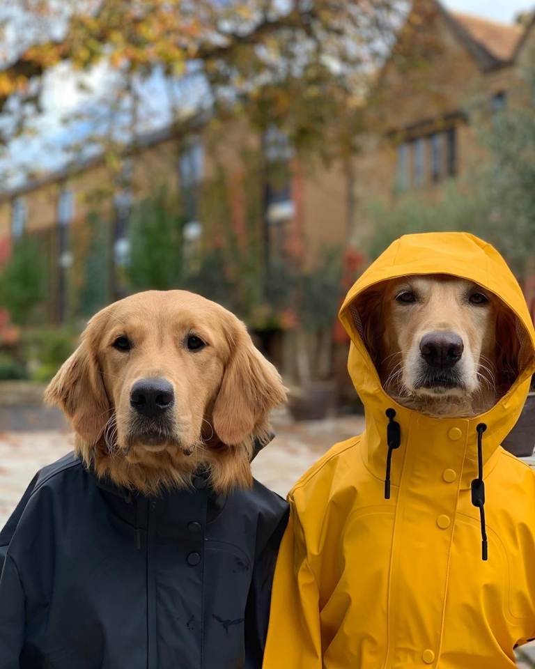 50+ weekend events in Birmingham, October 25-27, including The Magic City Classic