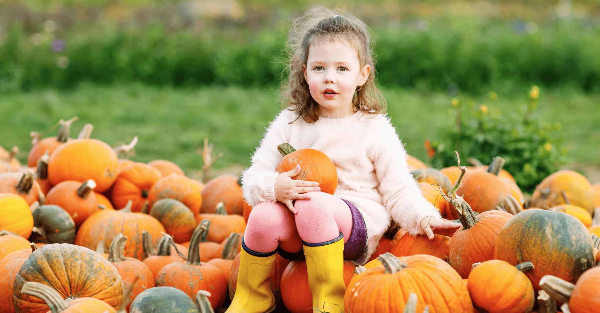 Screen Shot 2019 10 02 at 11.56.06 AM 7 places to take your pumpkin patch pictures this October within 1 hour of Birmingham