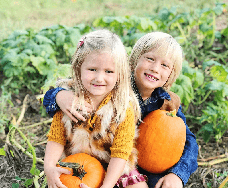 Screen Shot 2019 10 02 at 11.59.36 AM 7 places to take your pumpkin patch pictures this October within 1 hour of Birmingham