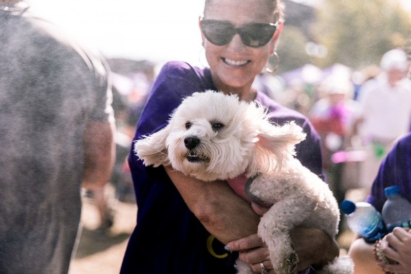 Puppy at 2019 Walk to End Alzheimer's