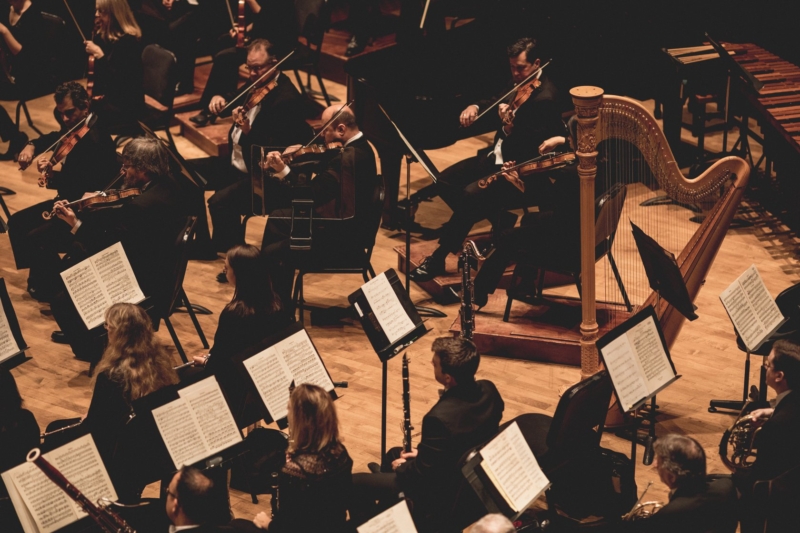 View of symphony orchestra musicians 