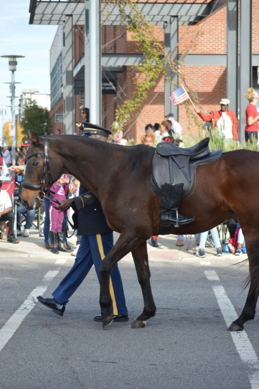 DSC 0470 e1573569067109 Birmingham's National Veterans Day Parade 2019, the nation's oldest celebration honoring our heroes (Photos)
