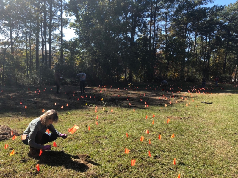 Who’s bringing back native plants to the landscape of Alabama? Take a look and see. 11 IMG 1575 Who’s bringing back native plants to the landscape of Alabama? Take a look and see.