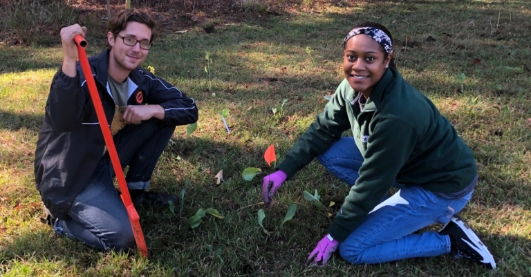 5 key moments that shaped environmental history in Birmingham since the first Earth Day