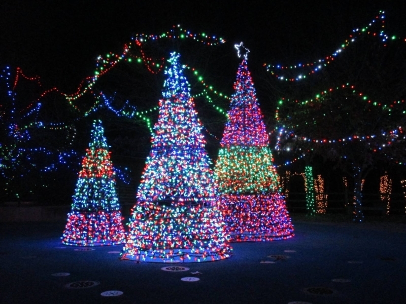 Birmingham, Birmingham Zoo, ZooLight Safari, holiday lights, Christmas lights